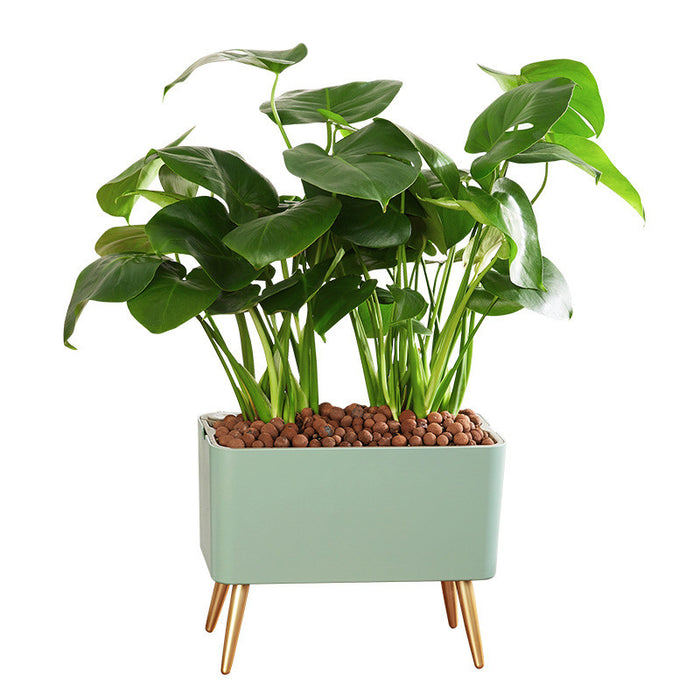 Automatic Self-Watering Flower Pot With Water Level Indicator Floor-standing Storage Basin Modern Design Ideal Gift For Friends