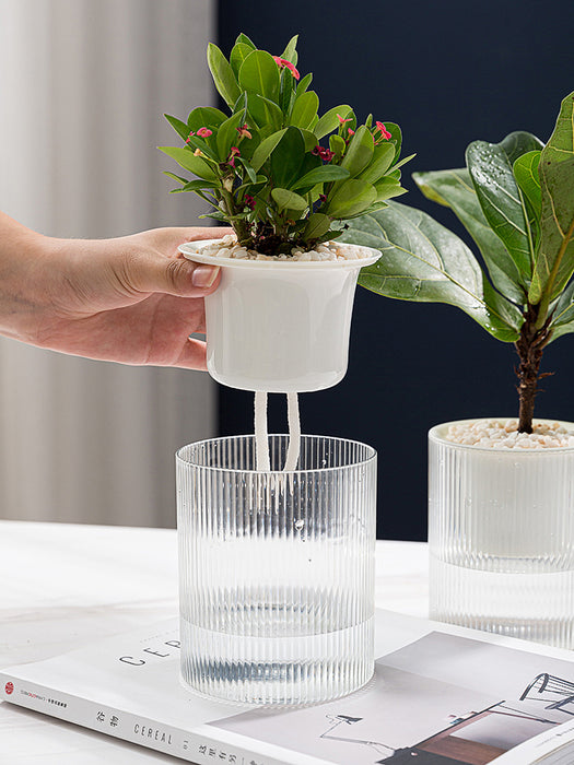 Self-absorbent succulent flower pot