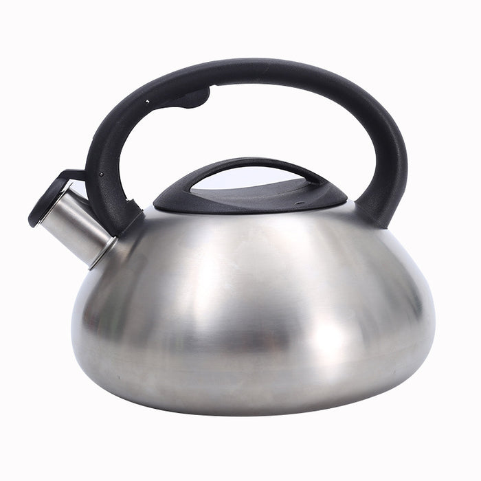 Stainless Steel Whistle Kettle