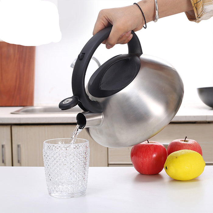 Stainless Steel Whistle Kettle